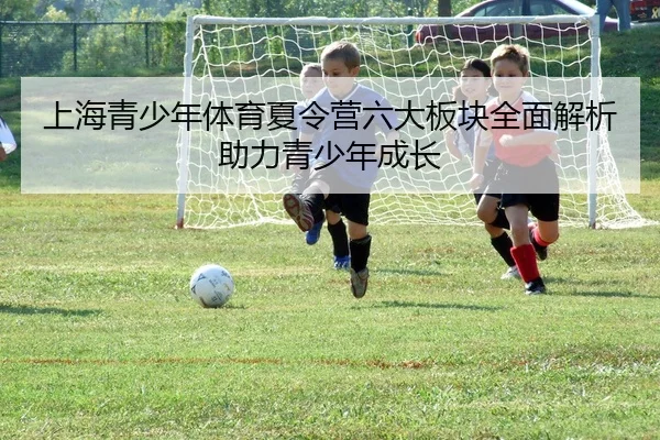 上海青少年体育夏令营六大板块全面解析助力青少年成长